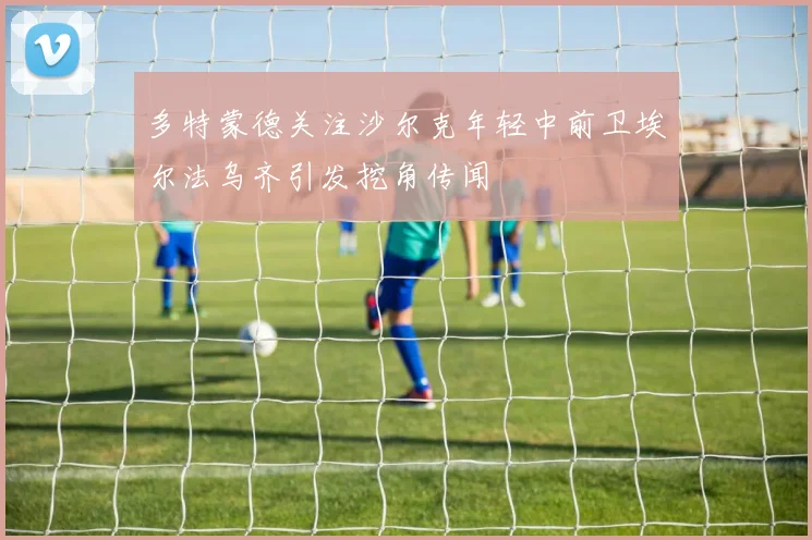 多特蒙德关注沙尔克年轻中前卫埃尔法乌齐引发挖角传闻