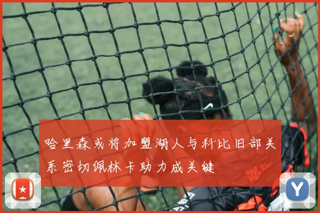 哈里森或将加盟湖人与科比旧部关系密切佩林卡助力成关键