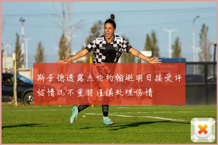 斯奈德透露杰伦约翰逊明日接受评估情况不重将谨慎处理伤情